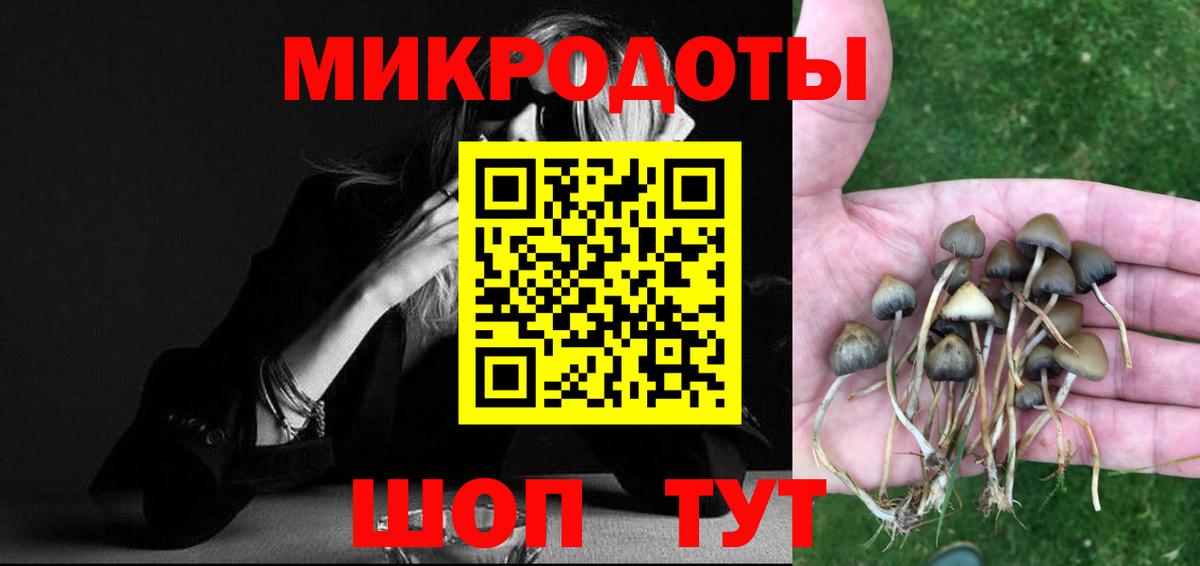 Псилоцибиновые грибы GOLDEN TEACHER Лесосибирск