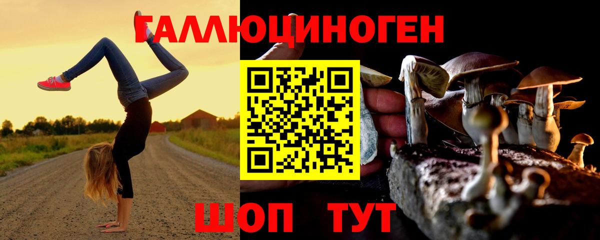Лесосибирск  Псилоцибиновые грибы мицелий  Вход с VPN 
